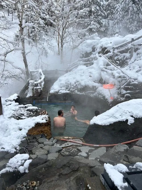 Housemates in a natural hot spring in the snow