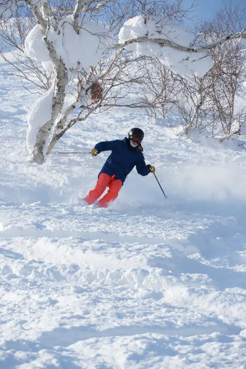 Skier in powder under a blue sky