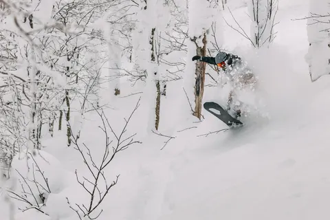 Snowboarder in deep powder in the trees