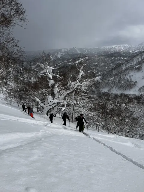 Line of ski tourers climbing a ridge