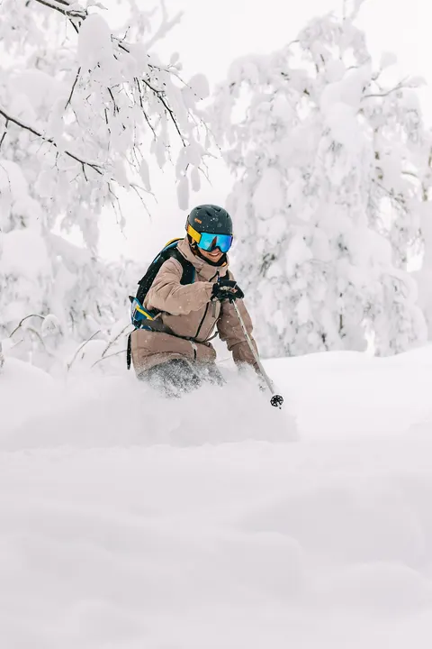 Skier among snow-covered trees