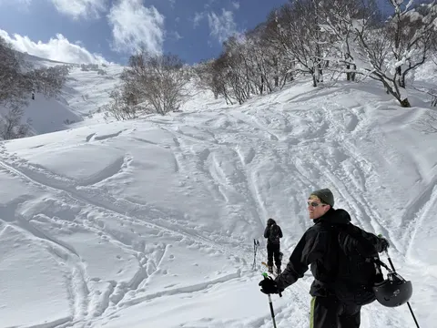 Skier above a bowl full of tracks