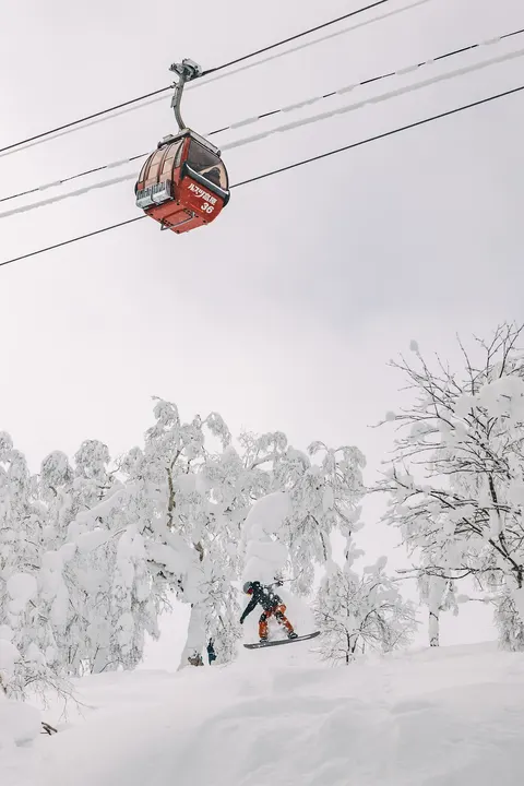 Skier below the gondola in snowy trees