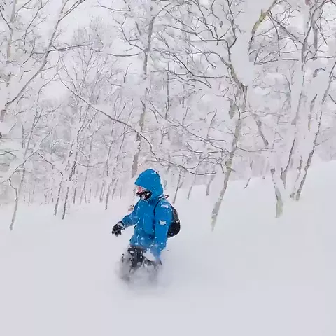 Snowboarder in snowy trees