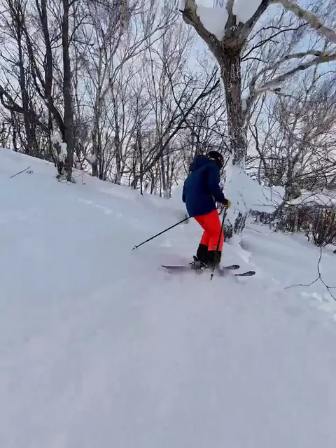 Following a skier through powder